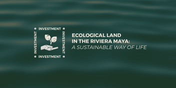 ecological land in the riviera maya