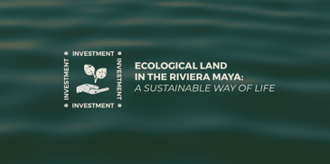 ecological land in the riviera maya