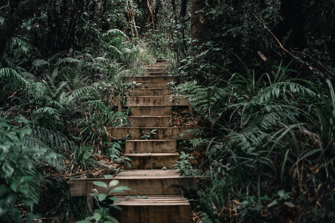 selva natural cenote gardens tulum