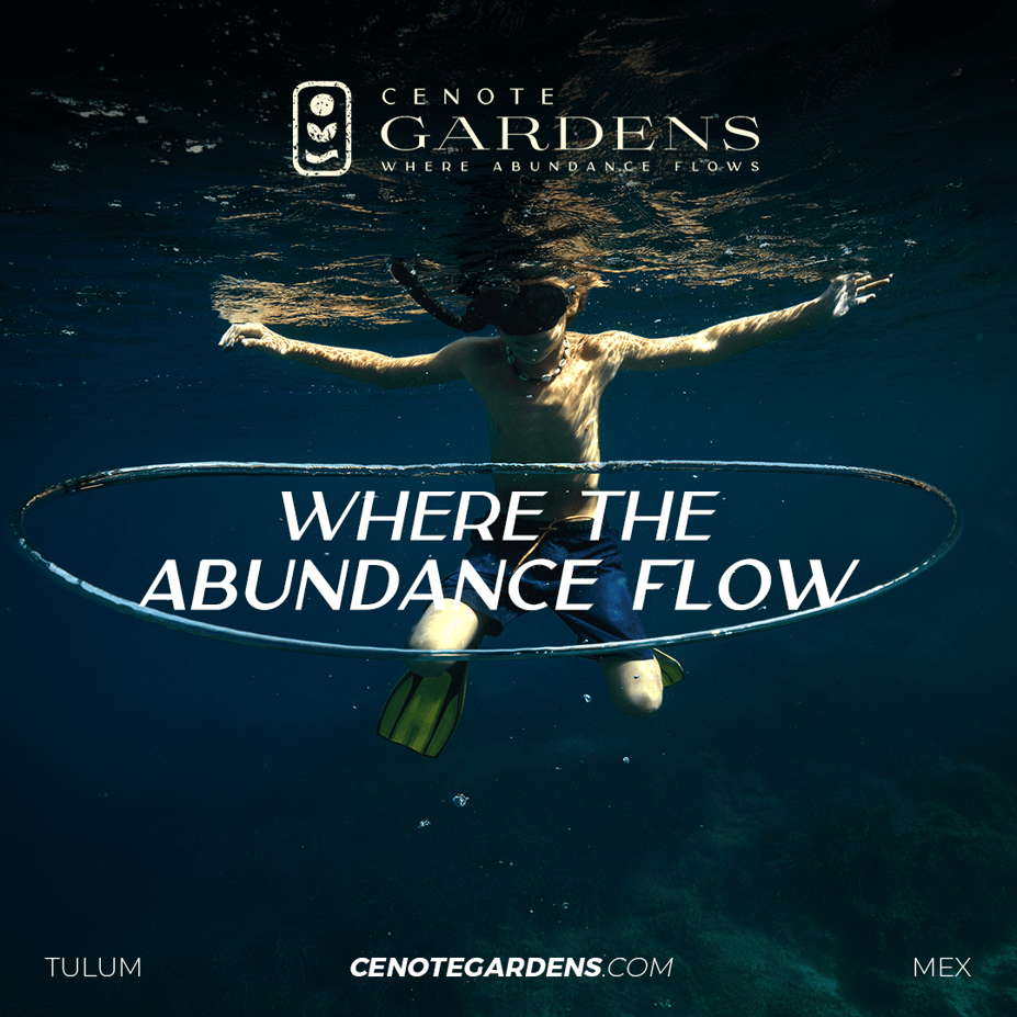 where the abundance flow